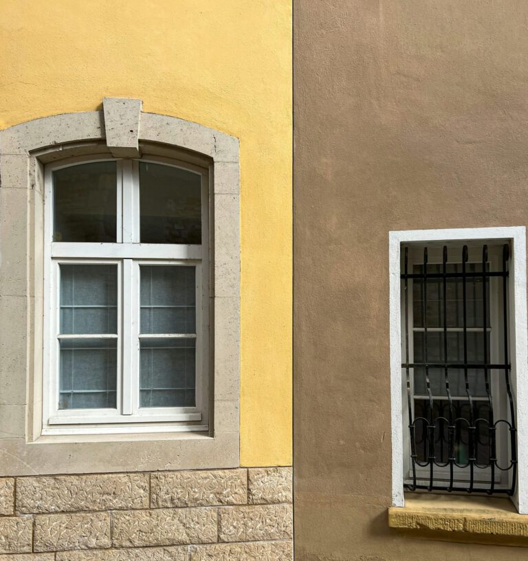 Read more about the article The Complete Guide to Choosing the Right Windows for Your Home